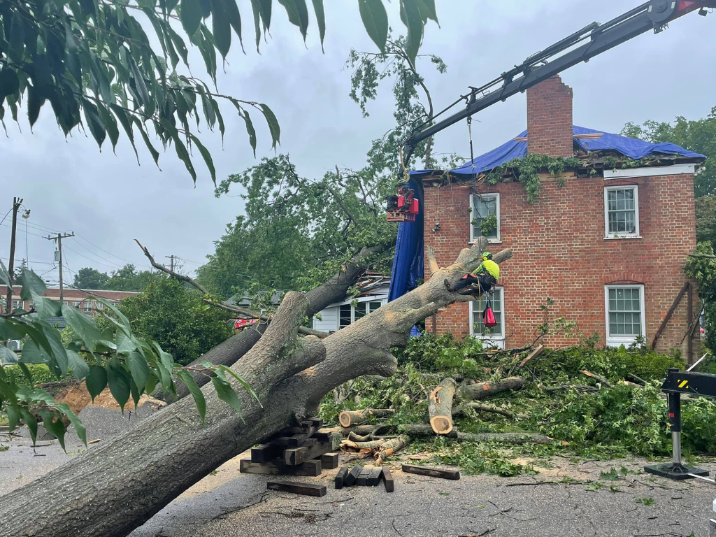 EMERGENCY TREE REMOVAL FREDERICKSBURG VA