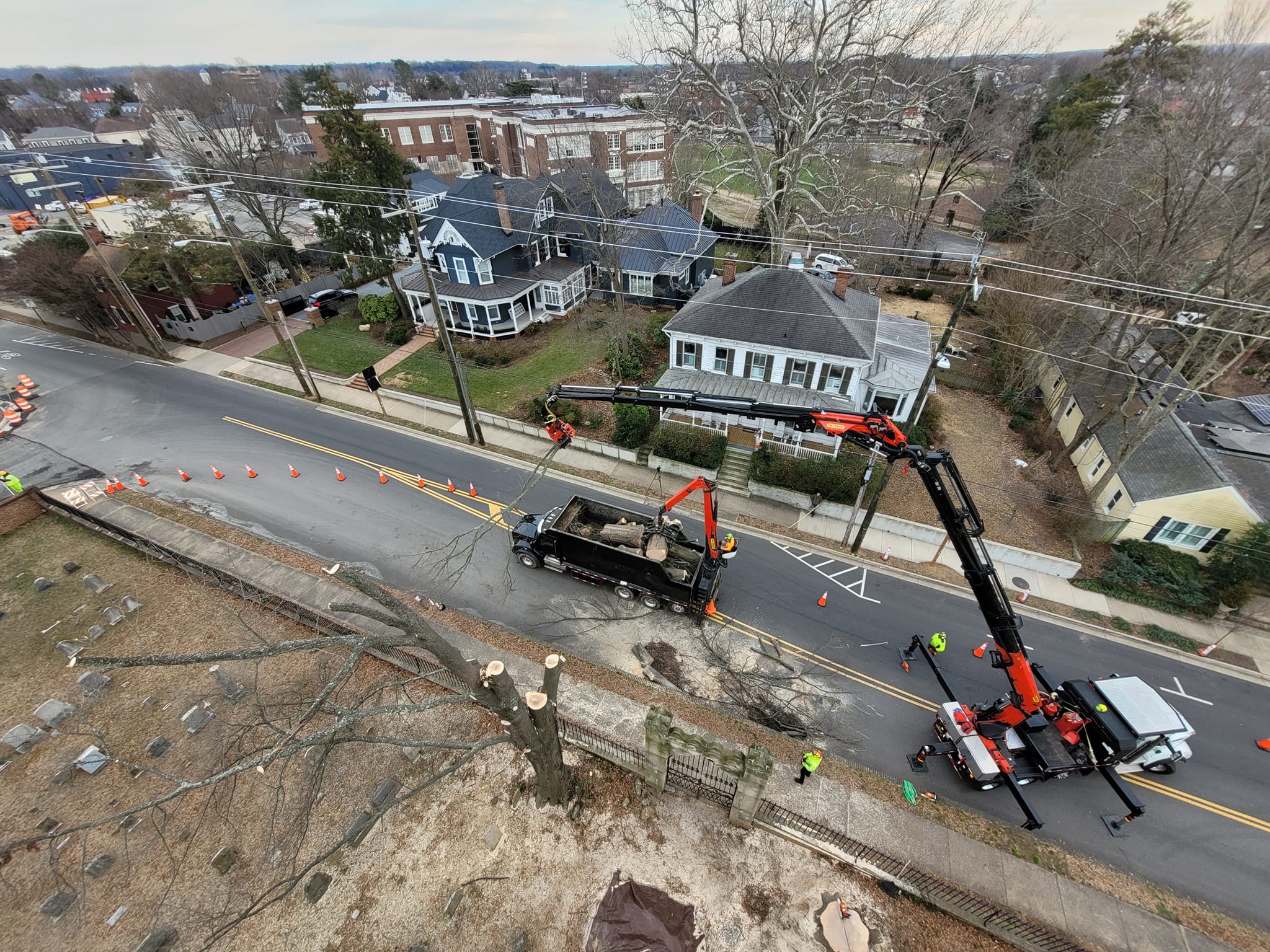 TREE TRIMMING FREDERICKSBURG VA