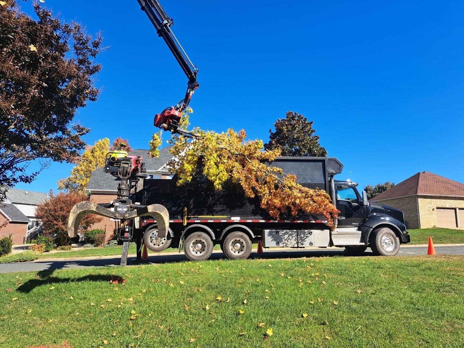 Crane removing the sweetgum tree in Fredericksburg