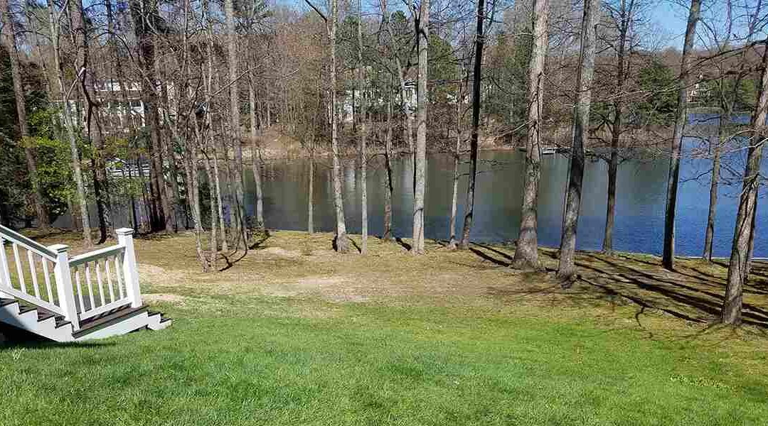 Can Trees Drown on Your Fredericksburg, VA, Property?