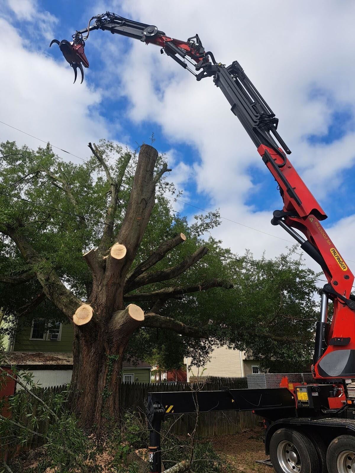 down to the main trunk