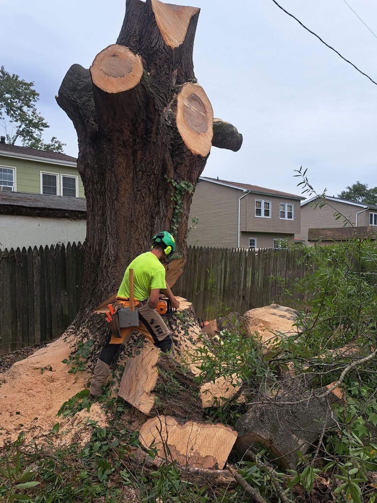 final chop before stump grinding