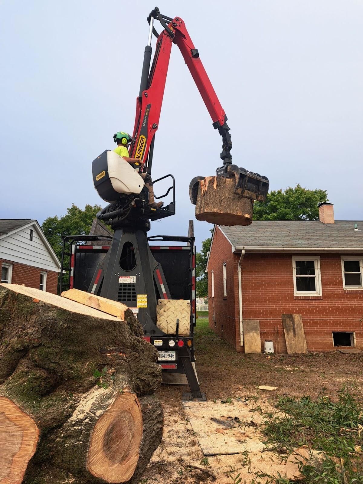 stump grinding